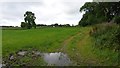 NX6653 : Footpath south of Ingleston Farm by Peter Mackenzie