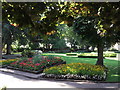 Flowerbeds, Manor Gardens, Exmouth