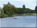 TA1231 : East Park: swan boat by Stephen Craven