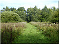 Public footpath from Steers Lane to Balcombe Road