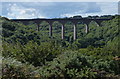 Denemouth Viaduct, Castle Eden Dene