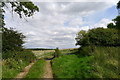 The track past Cocked Hat Plantation