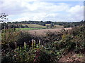 Slag Hills from Coldharbour Lane