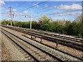 View from a Reading-Swindon train - Spring blossom at Richmead