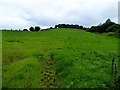 Garvary Townland