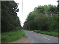 Minor road towards Weeting