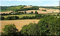 Cerne Abbas Care Centre