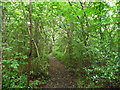 Ridge-top path at Bennison Banks