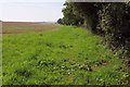 Footpath to Cerne Abbas