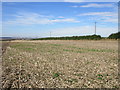 Stubble waiting to be tilled near Barrow Farm