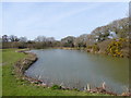 The south west edge of the lake at Camel Creek Adventure Park