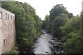 River Allan, Dunblane