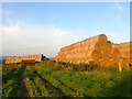 Hay Bales, Ecclesden Farm