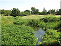 The Colne Brook east of Thorney Farm