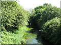 The Colne Brook east of Thorney Farm (2)