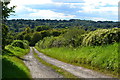 Track downhill from New Barn Farm