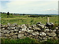 Dry stone wall, Carncorran Glebe