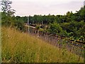 Langwith-Whaley Thorns Station