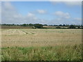 Stubble field south west of Cole End