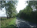 Radwinter Road (B1053)