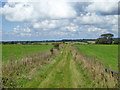 Bridleway to Acrise Court