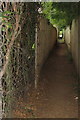 Footpath into Oakley