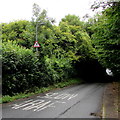 Warning signs, Tynant Road, Creigiau