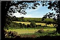 Pond near Up Cerne