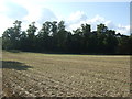 Stubble field towards the A143