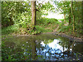 Small pond, Bedfords Park