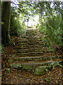 Rustic steps through the estate