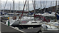 SY6779 : Looking across Weymouth Marina by Robin Stott