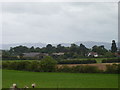 Pirton Court Farm from Pirton Church