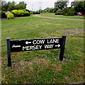 From Cow Lane to Mersey Way, Didcot