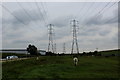 Rough Pasture in Lea Valley Park