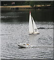 Black Park Model Boat regatta - yacht and powerboat