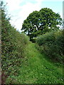 More or less disused farm track