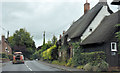 Cottage Greensleeves in Shillingstone