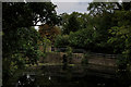 Canal Basin just South of Enfield Lock