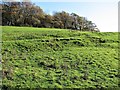 Soil slumping in field on Holbans Estate