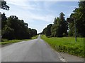 Avenue to Stowe from south-west