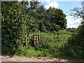 Footpath entrance heading into thick nettles