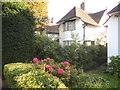 House and garden on Hampstead Way