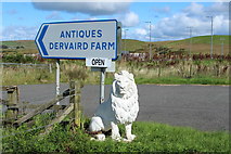 NX2258 : Entrance Road for Dervaird Antiques by Billy McCrorie