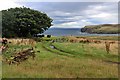 Farm track at Melvich