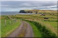 The road to Melvich pier