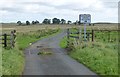 NY9781 : Cattle grid on minor road by Russel Wills