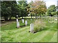 SZ6098 : Alverstoke, cemetery by Mike Faherty