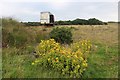 ND2261 : Wild flowers colour a drab scene at Brabsterdorran by Alan Reid