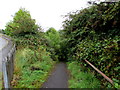 Path descending from Newchurch Road, Ebbw Vale